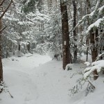 A hard packed trail makes the hiking a little easier with snowshoes in the winter.