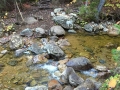 Hancock Notch Trail Brook 1