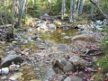 Hancock Notch Trail Brook 3